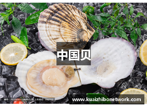 中国贝